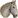 Späher